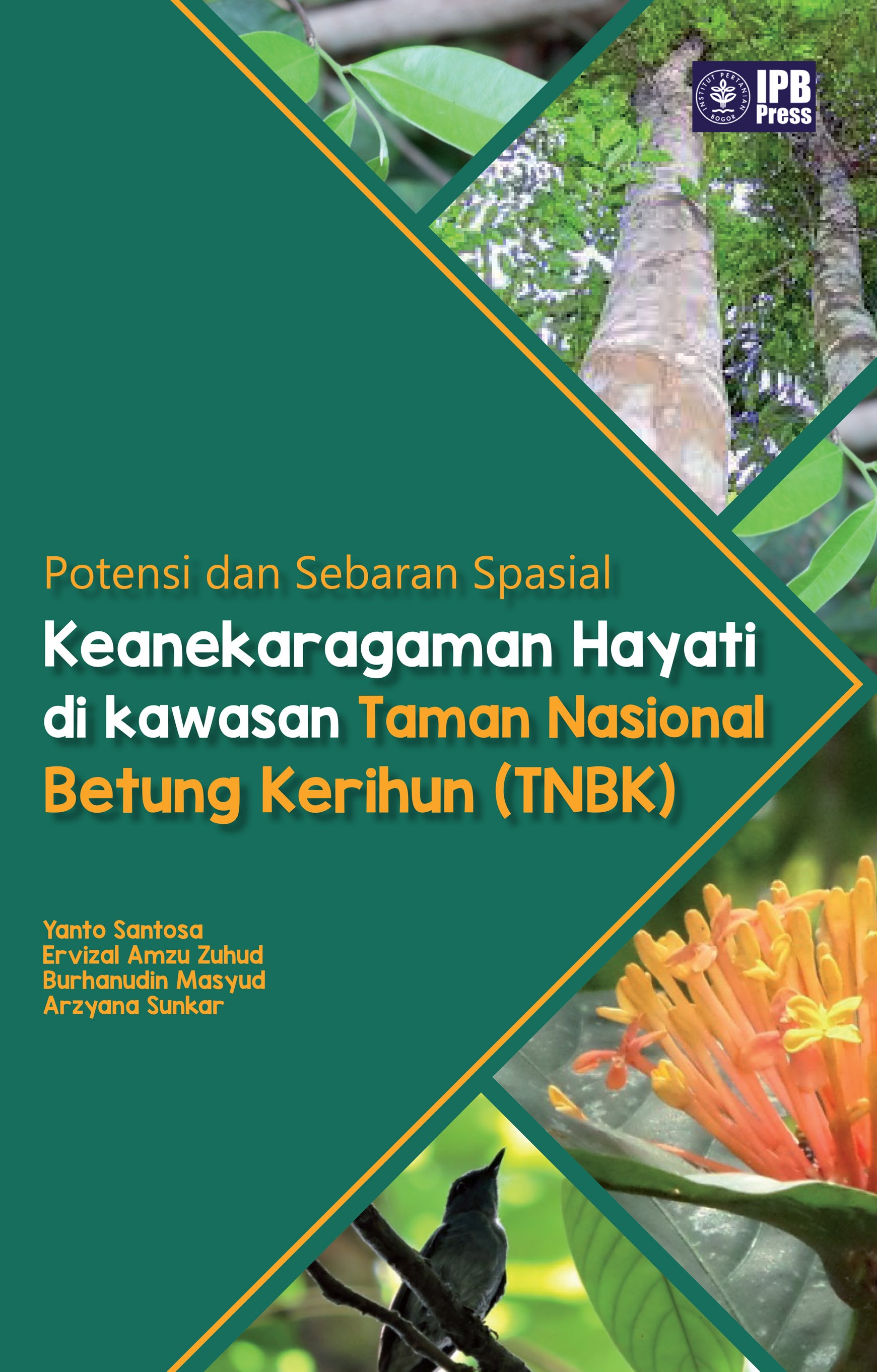 Potensi dan sebaran spasial keanekaragaman hayati di Kawasan Taman Nasional Betung Kerihun (TNBK) [sumber elektronis]