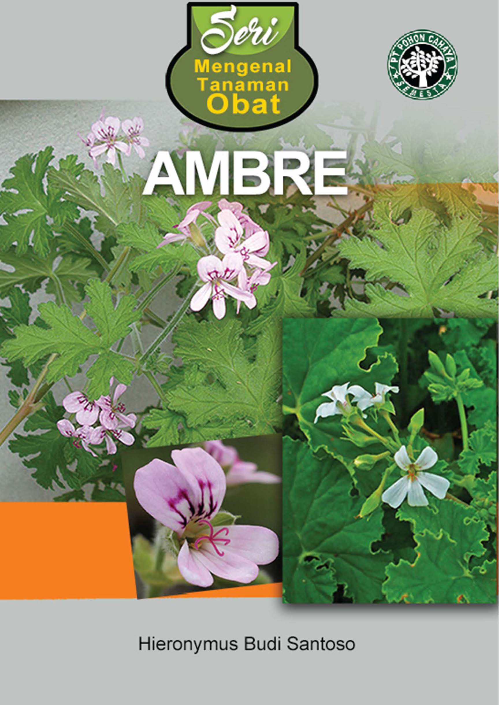 Ambre [sumber elektronis]