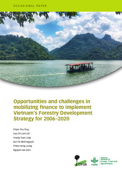 Opportunities and challenges in mobilizing finance to implement vietnam’s forestry development strategy for 2006–2020 [sumber elektronis]