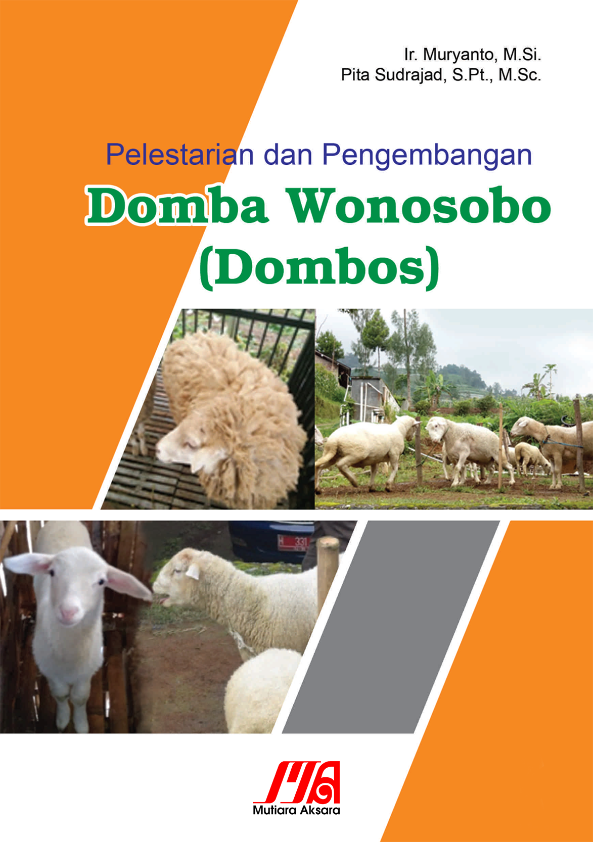 Pelestarian dan pengembangan Domba Wonosobo (Dombos)