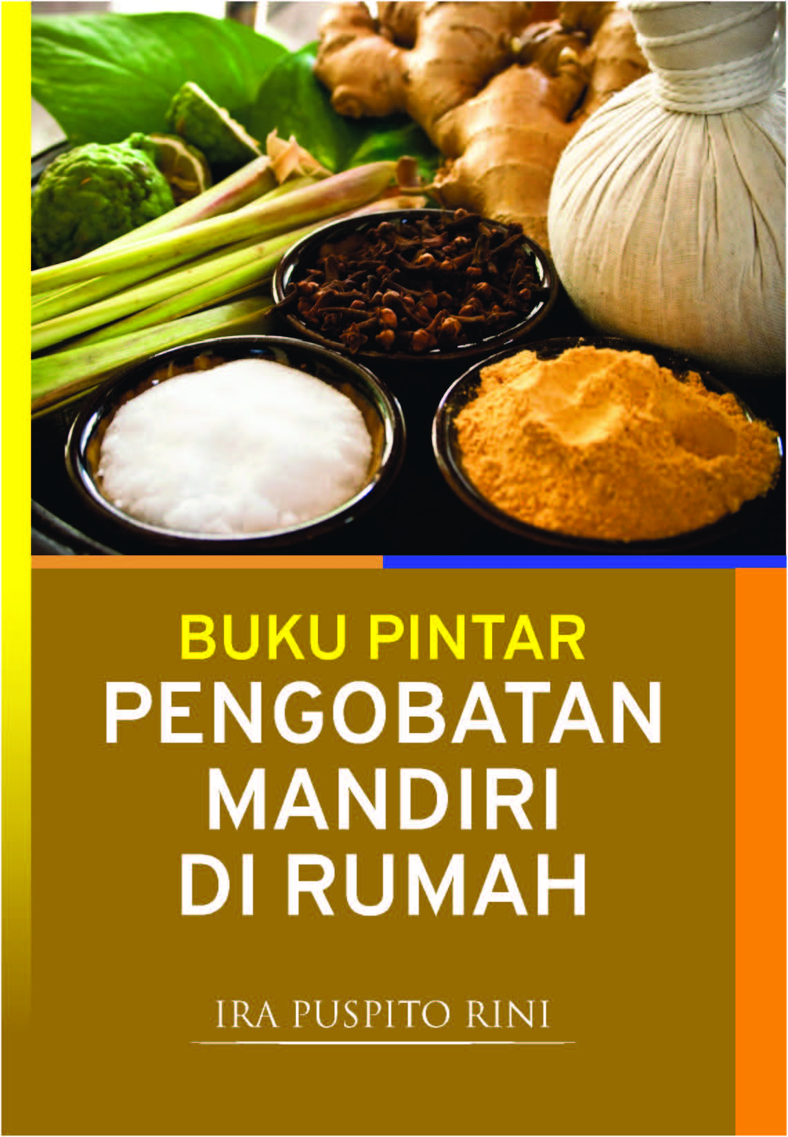 Buku pintar pengobatan mandiri di rumah [sumber elektronis]