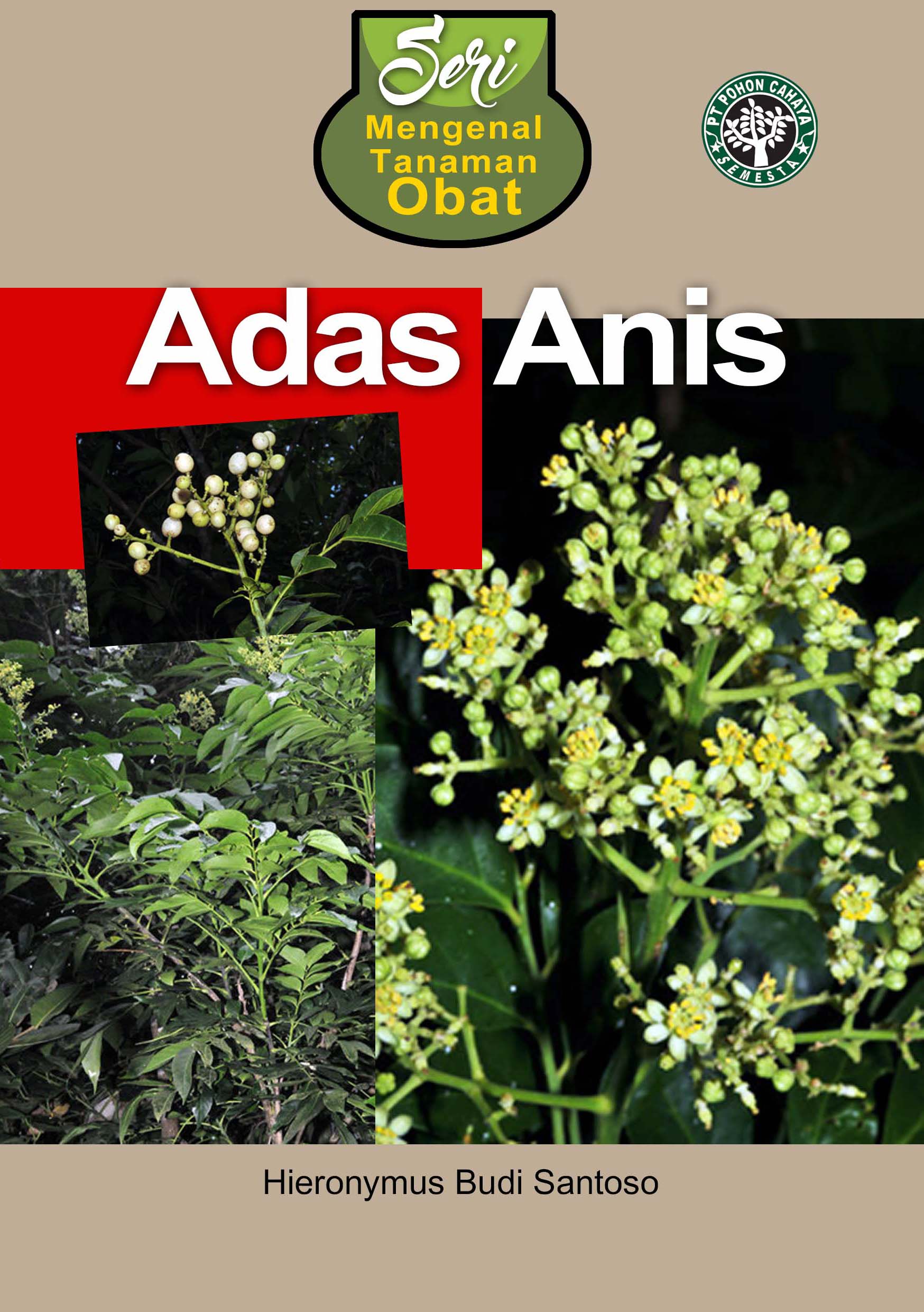 Adas anis [sumber elektronis]