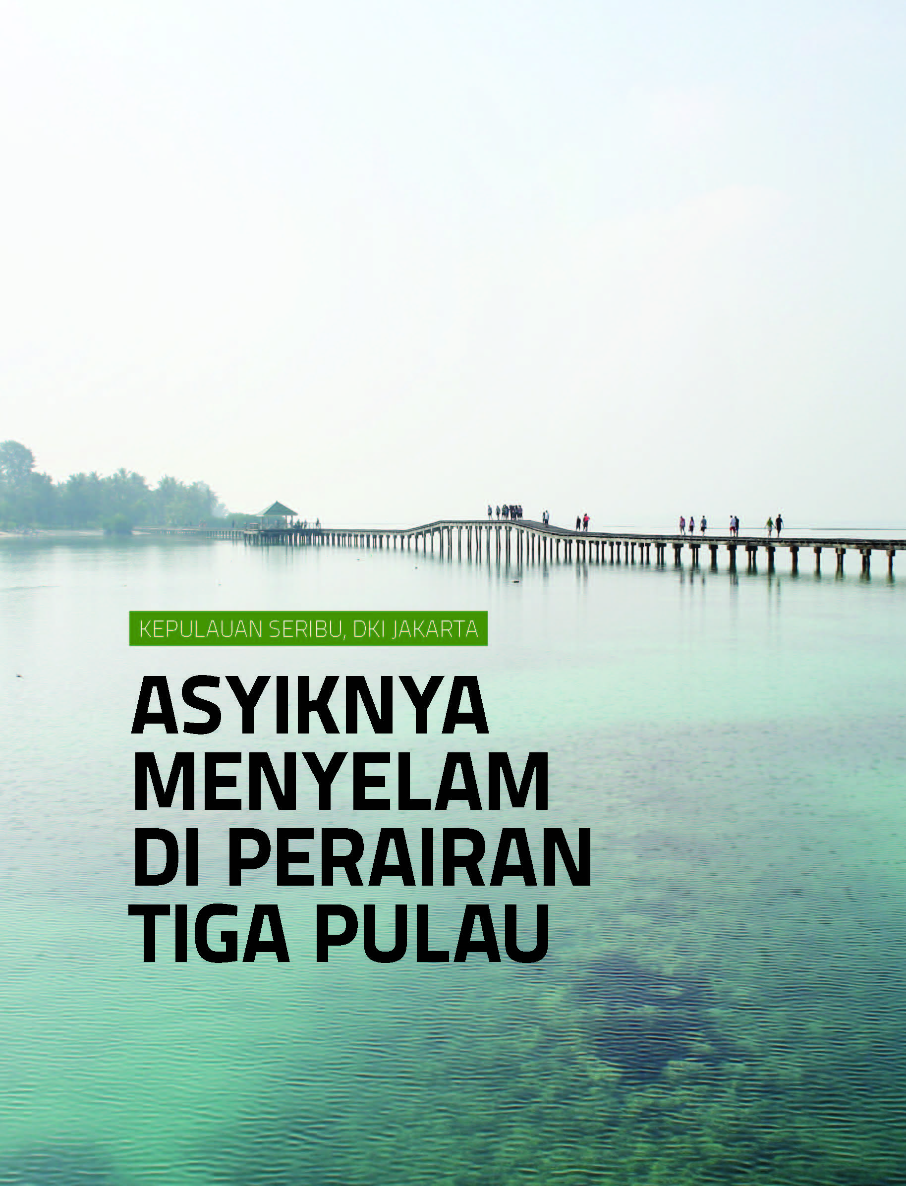 Wisata bahari Kepulauan Seribu: asyiknya menyelam di perairan tiga pulau [sumber elektronis]