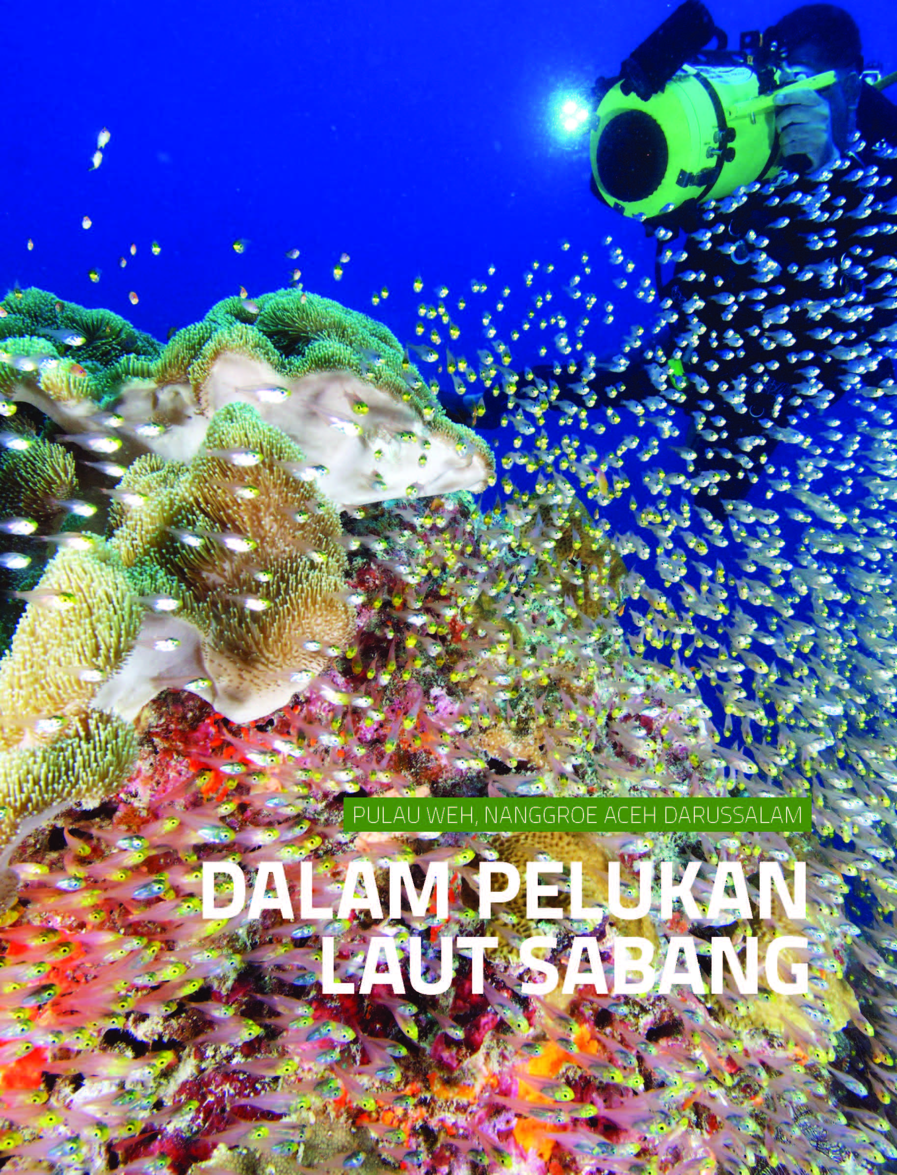 Wisata bahari pulau Weh: dalam pelukan laut Sabang [sumber elektronis]