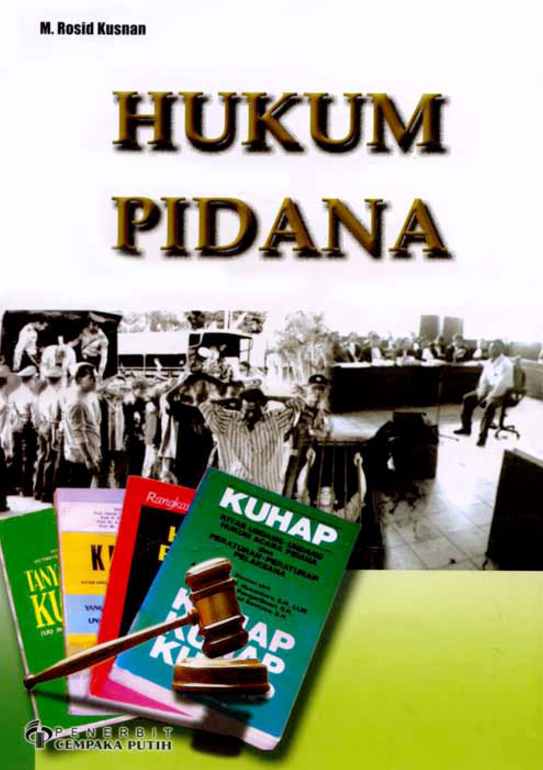 Hukum pidana [sumber elektronis]