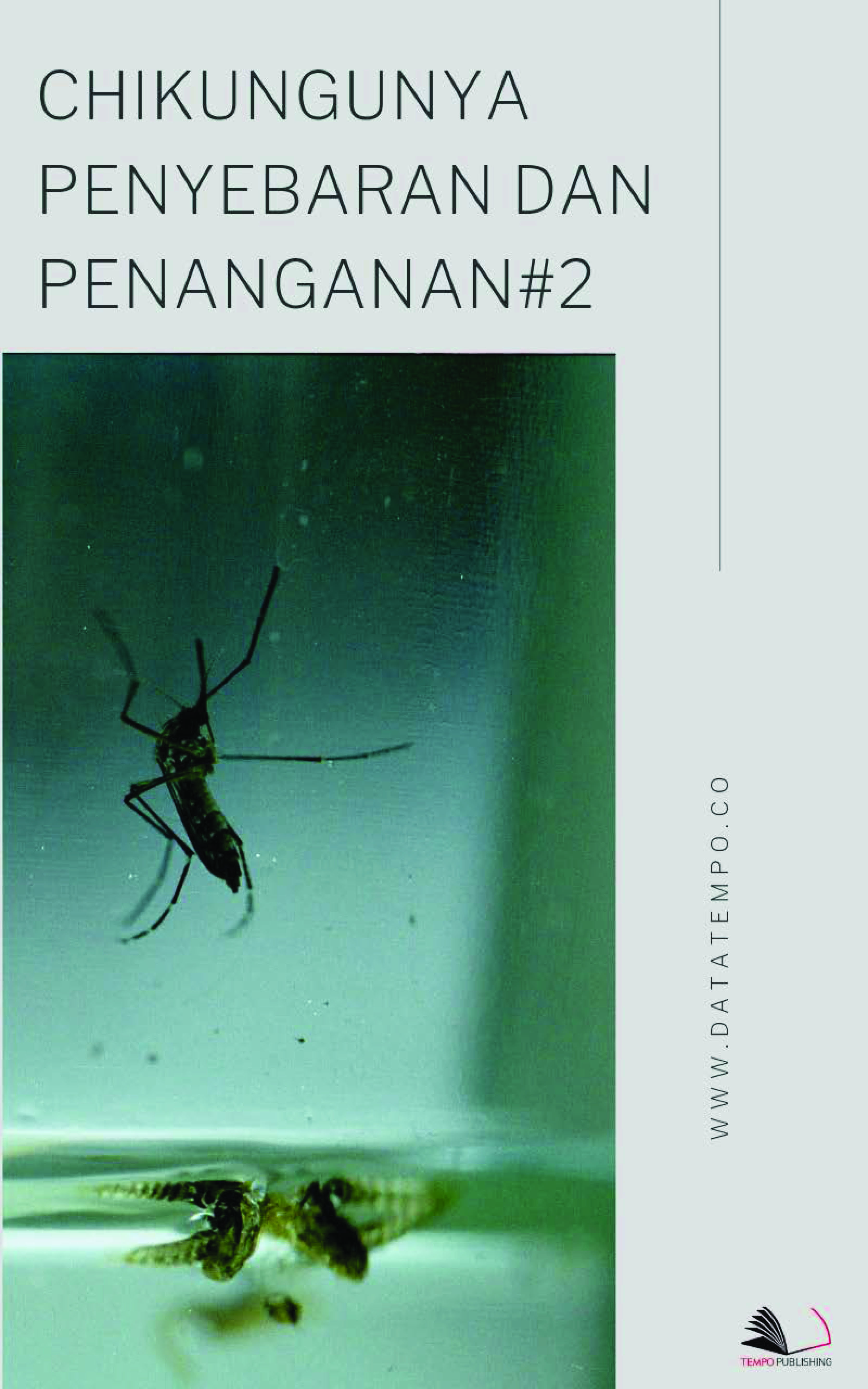 Chikungunya penyebaran dan penanganan