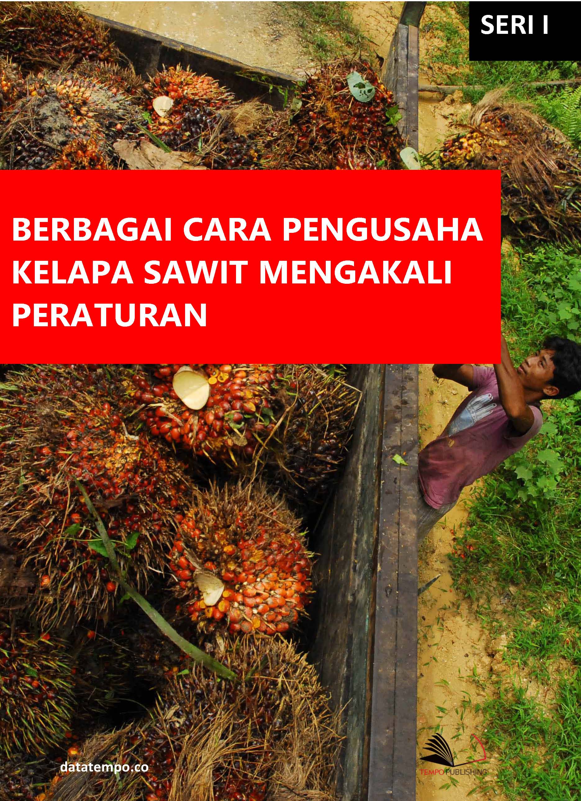 Berbagai cara pengusaha kelapa sawit mengakali peraturan