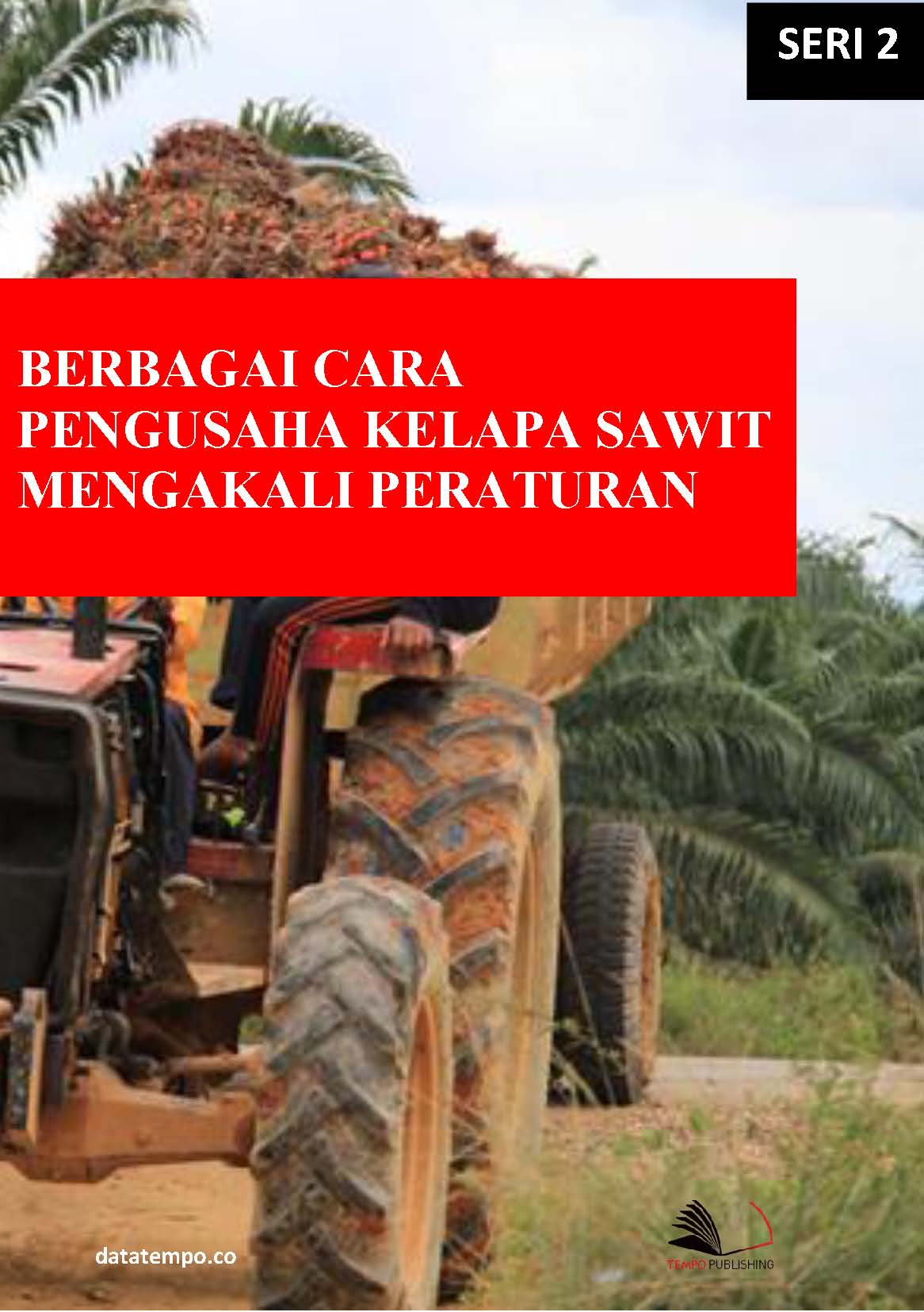 Berbagai cara pengusaha kelapa sawit mengakali peraturan