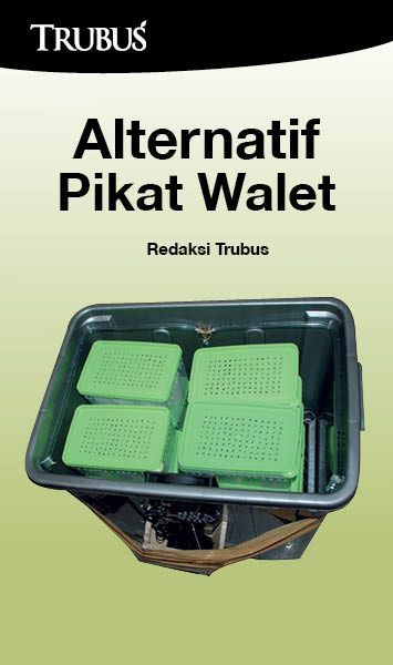 Alternatif pikat walet [sumber elektronis]