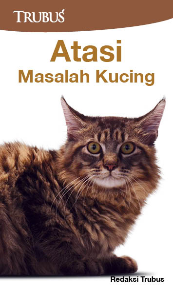 Atasi masalah kucing [sumber elektronis]