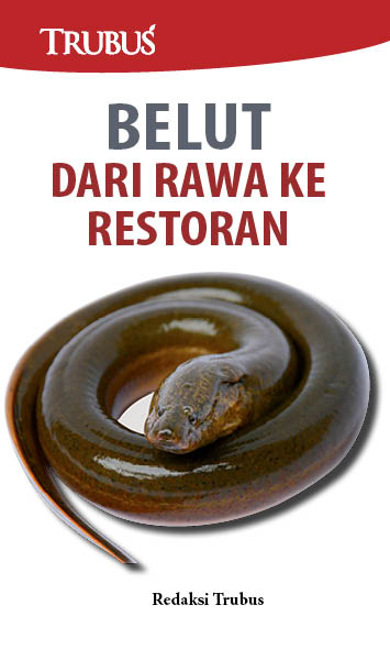 Belut, dari rawa ke restoran [sumber elektronis]