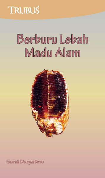 Berburu lebah dan madu di alam [sumber elektronis]