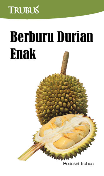 Berburu durian enak [sumber elektronis]