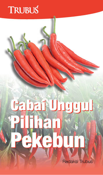 Cabai unggul pilihan pekebun [sumber elektronis]