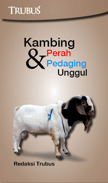 Kambing perah dan pedaging unggul [sumber elektronis]