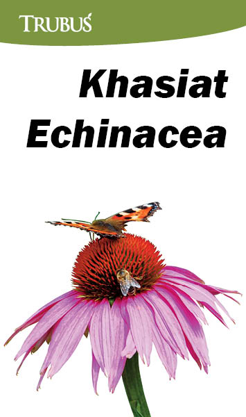 Khasiat echinacea [sumber elektronis]