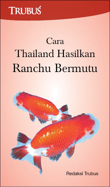 Cara Thailand hasilkan ranchu bermutu [sumber elektronis]