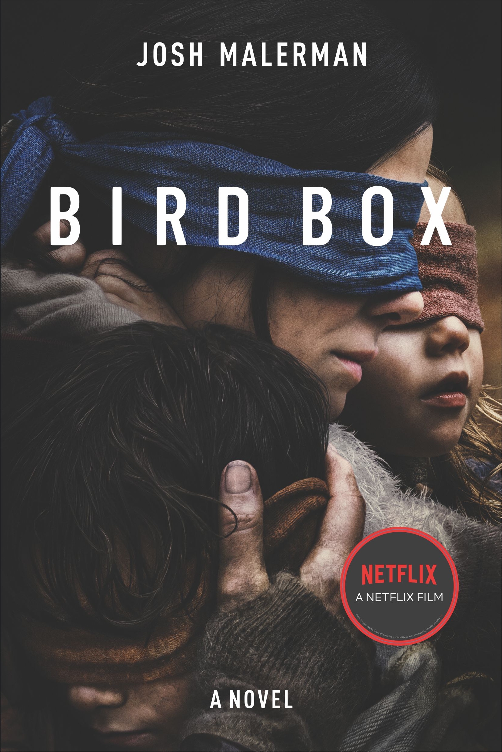 Bird box [sumber elektronis]