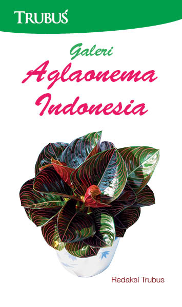 Galeri aglaonema indonesia [sumber elektronis]