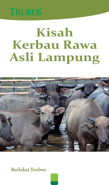 Kisah kerbau rawa asli Lampung [sumber elektronis]