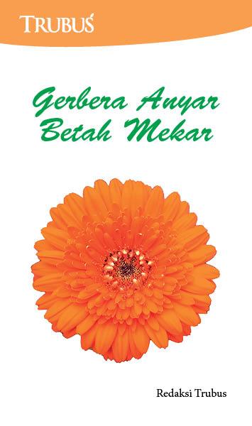 Gerbera anyar betah mekar  [sumber elektronis]