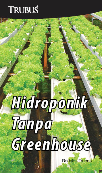 Hidroponik tanpa greenhouse [sumber elektronis]