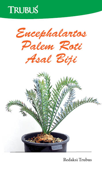 Encephalartos: palem roti asal biji [sumber elektronis]