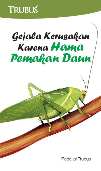 Gejala kerusakan karena hama pemakan daun [sumber elektronis]