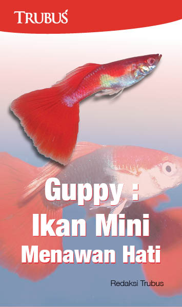 Guppy: ikan mini menawan hati [sumber elektronis]