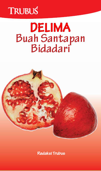 Delima buah santapan bidadari [sumber elektronis]