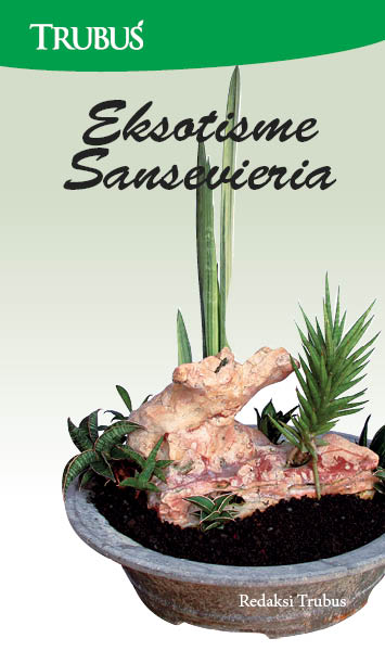 Eksotisme sansevieria [sumber elektronis]