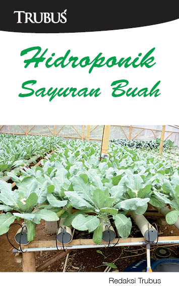 Hidroponik sayuran buah [sumber elektronis]