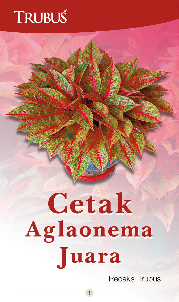 Cetak aglaonema juara [sumber elektronis]