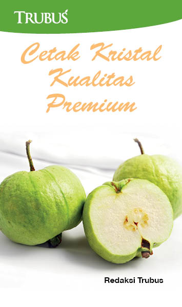 Cetak kristal kualitas premium [sumber elektronis]