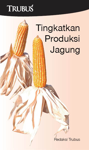 Tingkatkan produksi jagung [sumber elektronis]