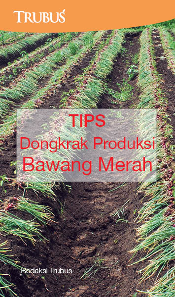 Tips dongkrak produksi bawang merah [sumber elektronis]