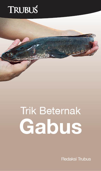 Trik beternak gabus [sumber elektronis]