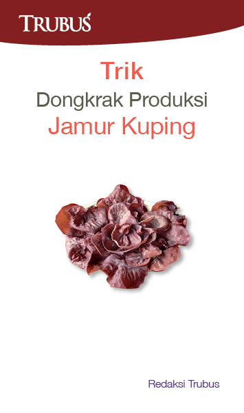 Trik dongkrak produksi jamur kuping [sumber elektronis]