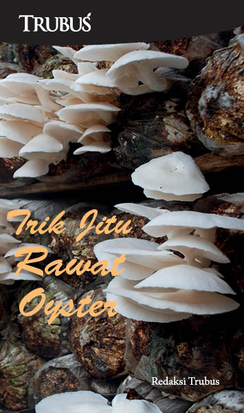 Trik jitu rawat oyster [sumber elektronis]