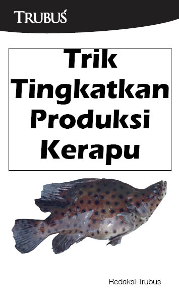 Trik tingkatkan produksi kerapu [sumber elektronis]