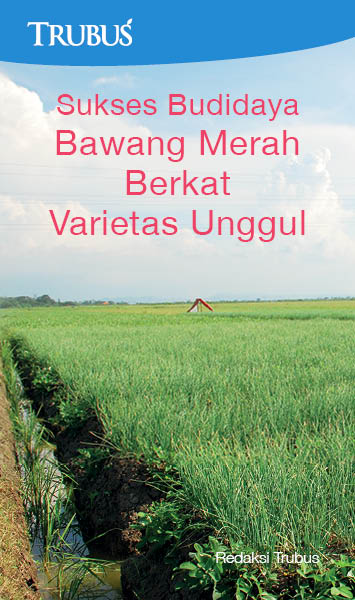 Sukses budidaya bawang merah berkat varietas unggul [sumber elektronis]