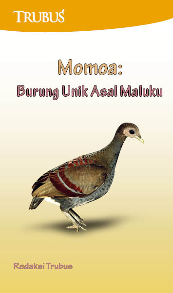 Momoa [sumber elektronis] : burung unik asal Maluku