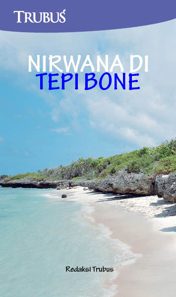 Nirwana di tepi Bone [sumber elektronis]