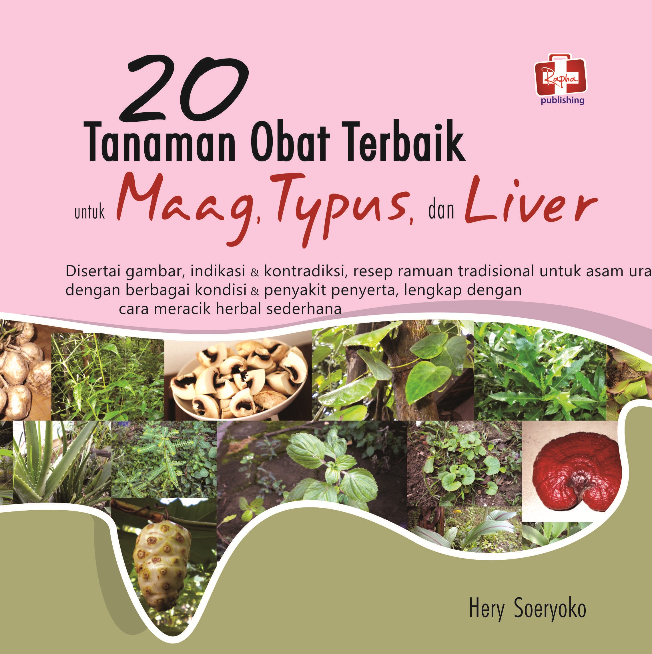 20 tanaman obat terbaik untuk maag, typus, dan liver [sumber elektronis]