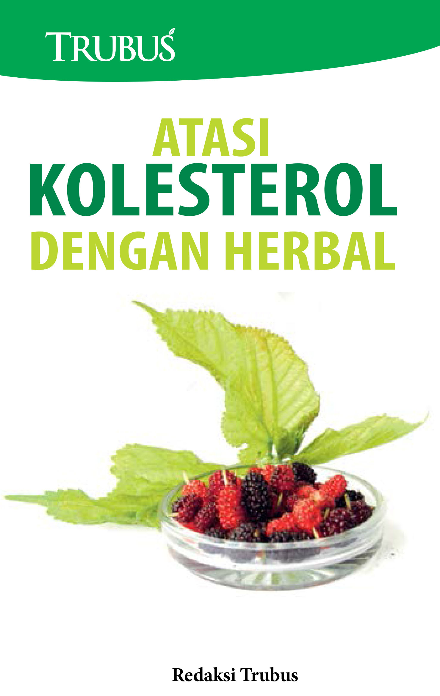 Atasi kolesterol dengan herbal [sumber elektronis]