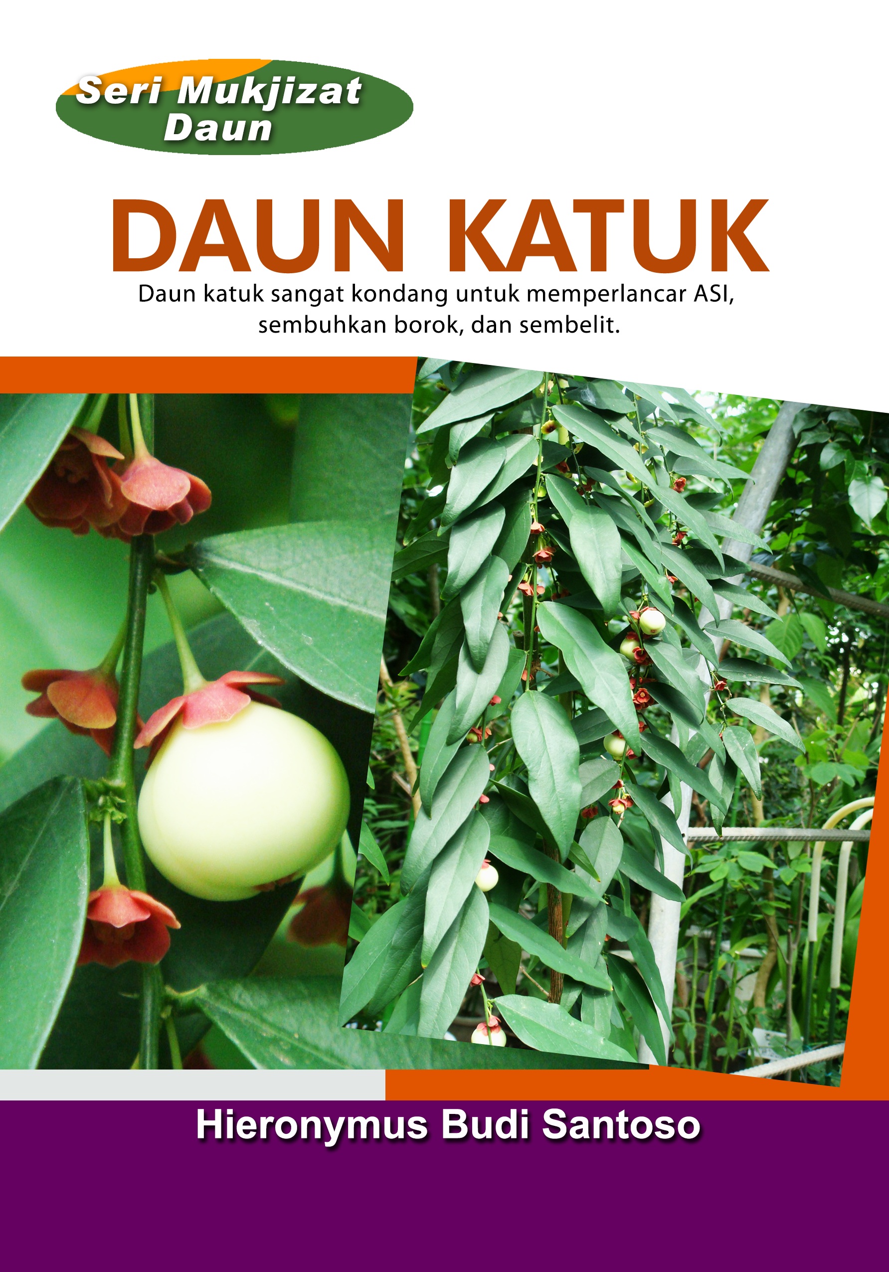 Daun katuk [sumber elektronis] : daun katuk sangat kondang untuk memperlancar ASI, sembuhkan borok, dan sembelit