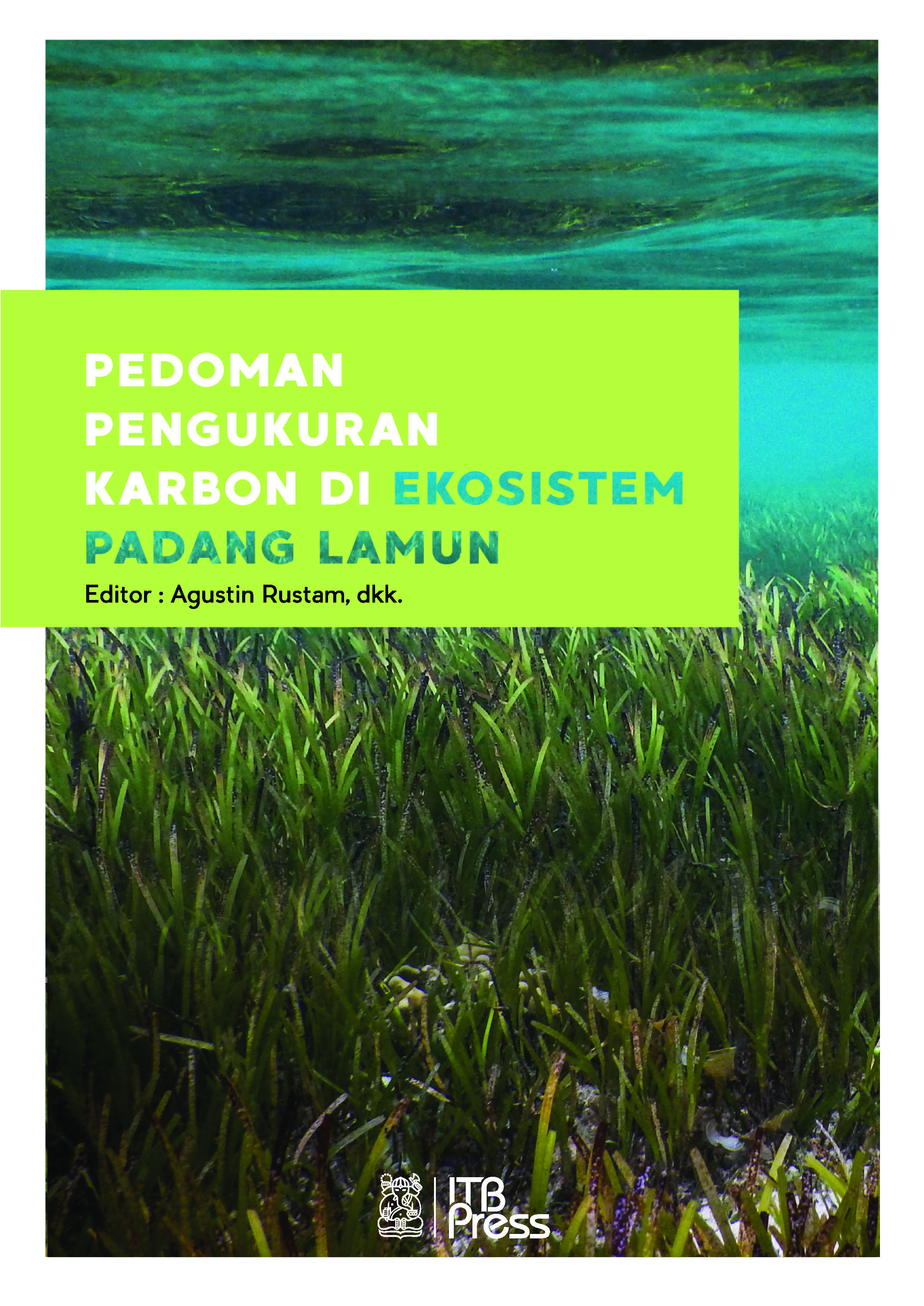 Pedoman pengukuran karbon di ekosistem Padang Lamun [sumber elektronis]