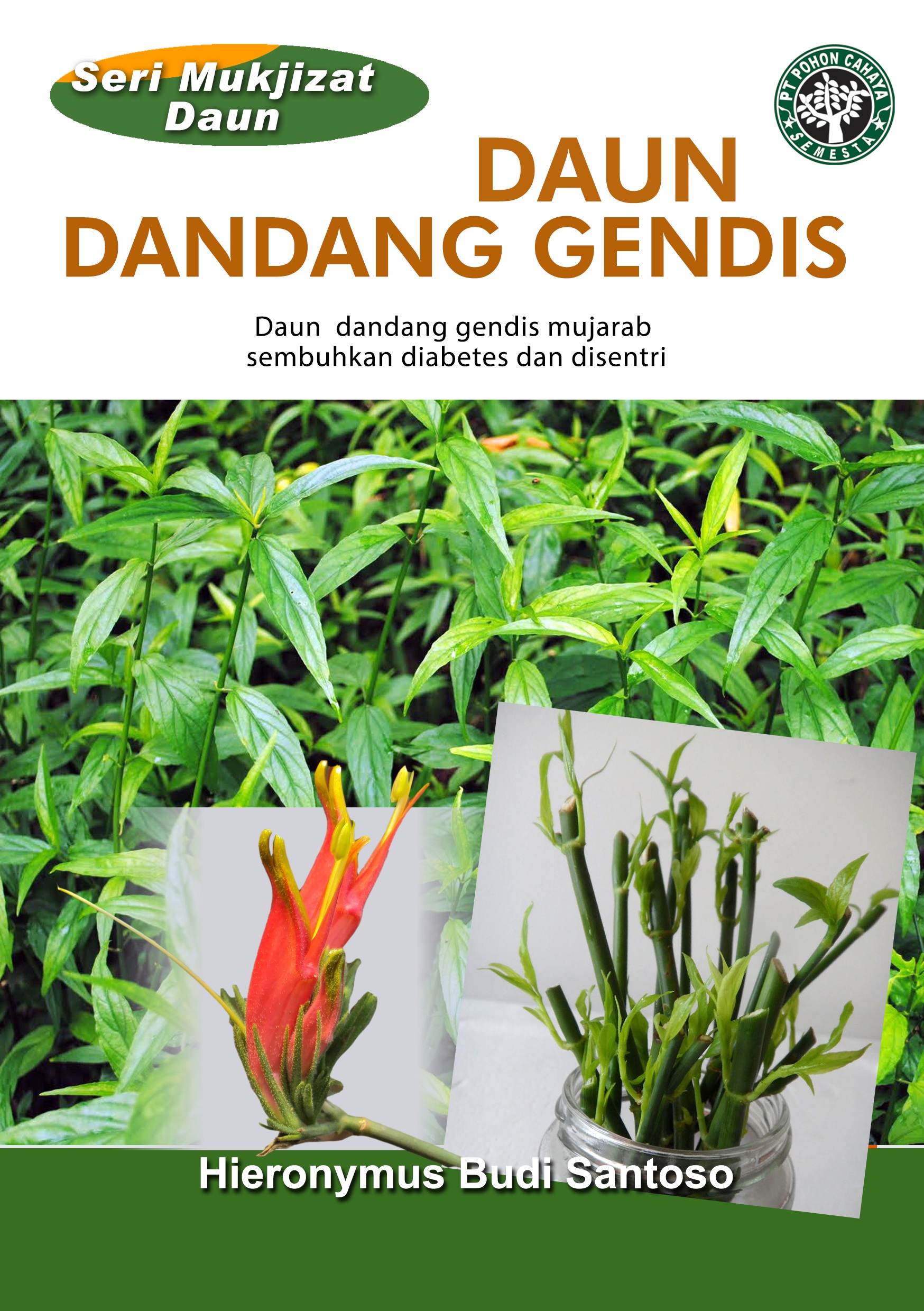 Daun dandang gendis [sumber elektronis] : daun dandang gendis mujarab sembuhkan diabetes dan disentri