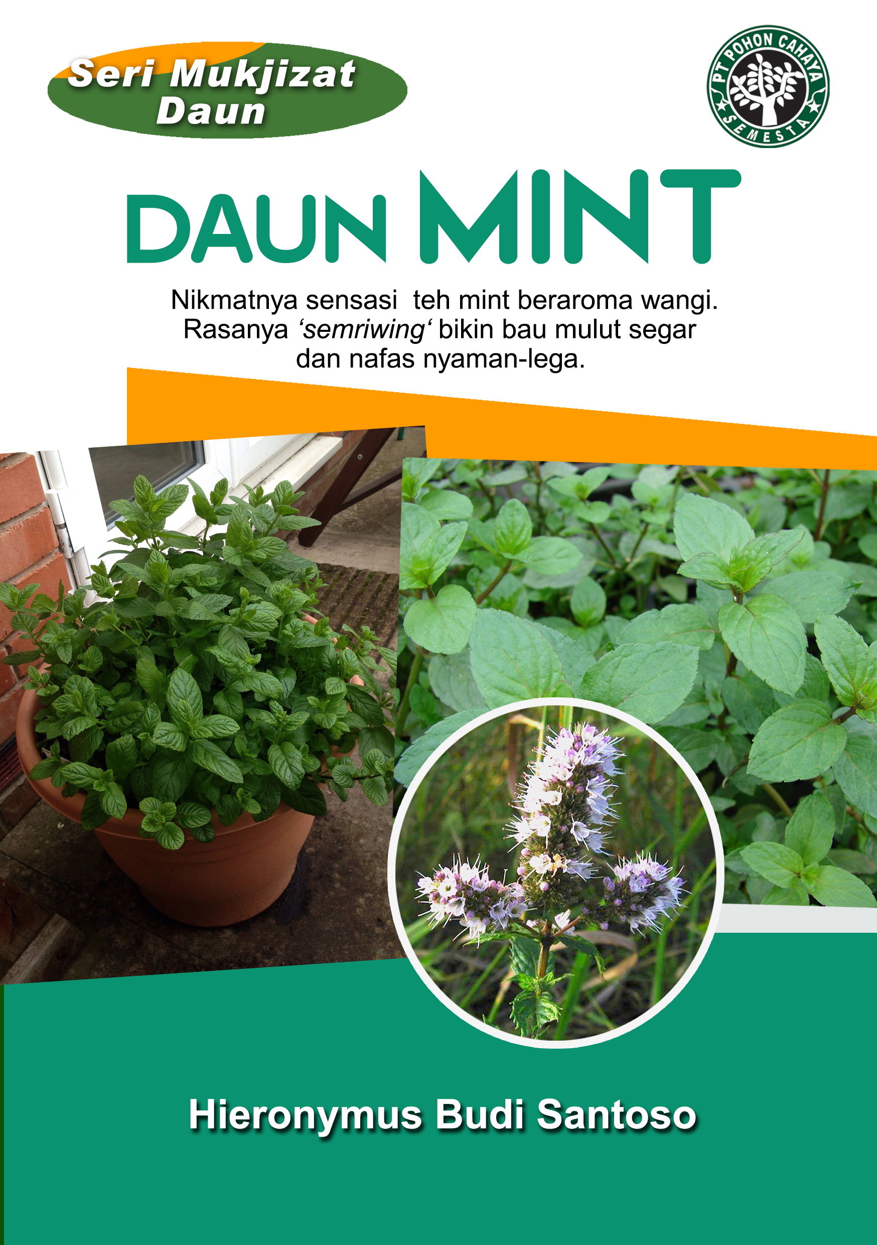 Daun mint [sumber elektronis] : nikmatnya sensasi daun mint beraroma wangi. rasanya ‘semriwing ‘ bikin bau mulut segar dan nafas nyaman-lega