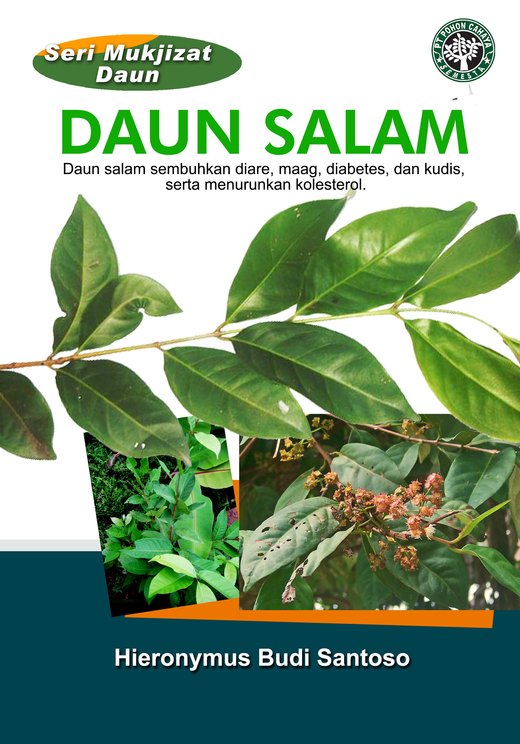 Daun salam [sumber elektronis] : daun salam sembuhkan diare, maag, diabetes, dan kudis, serta menurunkan kolesterol.